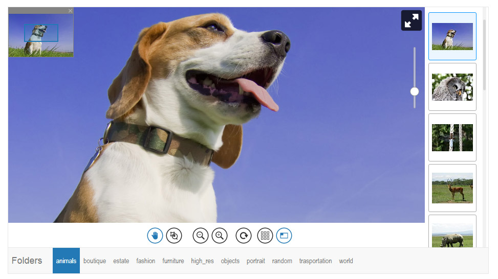 Embedded zoom player with gallery and switch between folders