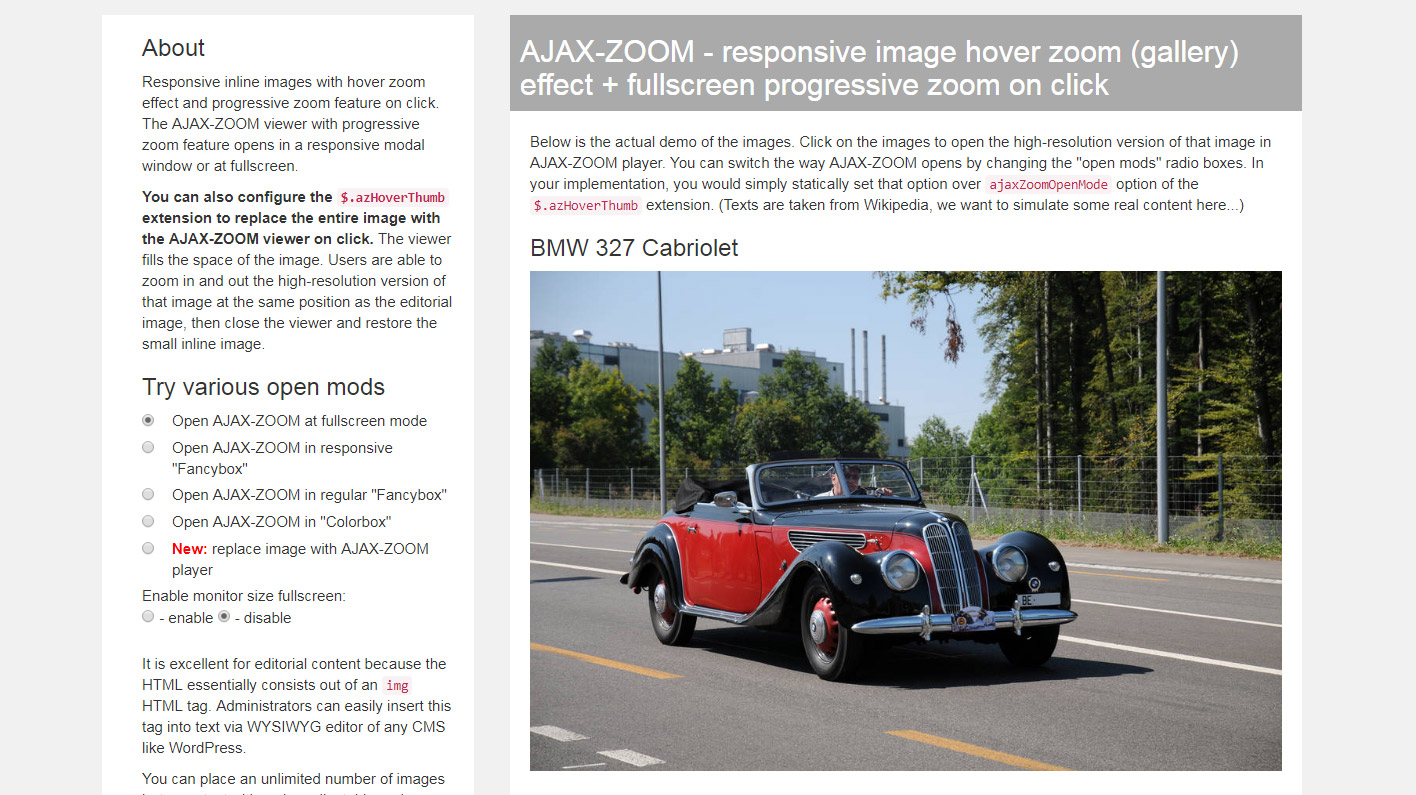 JavaScript Bild mit zoom Player ersetzen